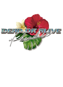 Logo for Dead or Alive: Paradise