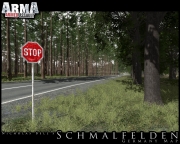 Armed Assault - Schmalfelden v1.0 *UPDATE*