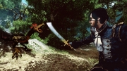 Risen 2: Dark Waters - Gamescom-Präsentation zum kommenden Rollenspiel