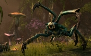 The Elder Scrolls Online - Bethesda enthüllt neues MMO im Elder Scrolls-Universum