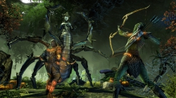 The Elder Scrolls Online - Jahrestagsfeier der zweiten DLC-Erweiterung Orsinium mit besonderen Event