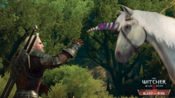 The Witcher 3: Wild Hunt - Game of the Year Edition folgt Ende August
