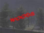 Wolfenstein: Enemy Territory - Map - Woods