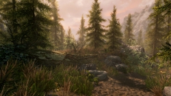The Elder Scrolls V: Skyrim Special Edition - Bethesda veröffentlichen zweites Gameplay-Video