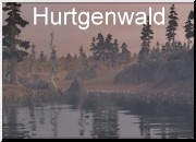 Company of Heroes: Opposing Fronts - Map - Hurtgenwald