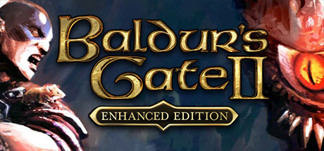 Baldur's Gate II: Enhanced Edition - Guide - Baldur's Gate II: Enhanced Edition startet nicht...