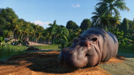 Planet Zoo - Neues Gameplay-Video zeigt Savannen-Biom