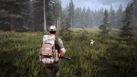 Hunting Simulator 2 - Neues Video stellt die tierischen Jagdbegleiter vor