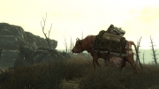 Fallout 3 - Fallout 3 - Neue Screenshots