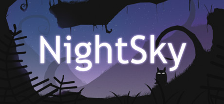 Logo for NightSky