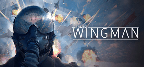 Logo for Project Wingman