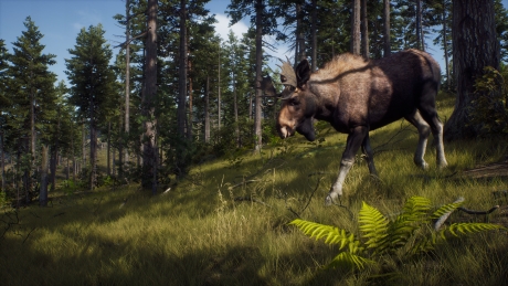 Way of the Hunter - Realistische Jagdsimulation mit Kampagne angekündigt