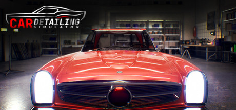 Logo for Car Detailing Simulator