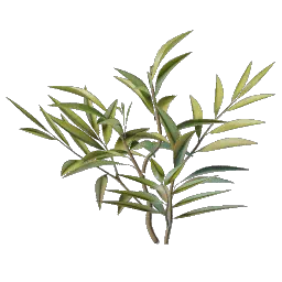Enshrouded - Wiki - Ödland Blumensamen