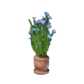 Flachs Pflanze