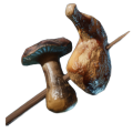 Fleischspieß mit Pilz