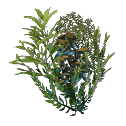 Unterwasserüberwucherung