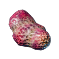 Spinndrüse