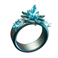 Ring des Donnerschnees