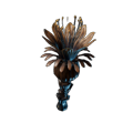 Schattenblüte