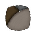 Dorfeiche