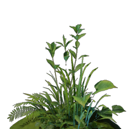 Fruchtbare Wogschimmer-Grund-Erde