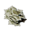 Zerbrechliche Miasma-Flocken