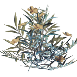Enshrouded - Wiki - Ödland Blume