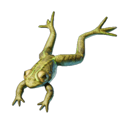 Enshrouded - Wiki - Frosch