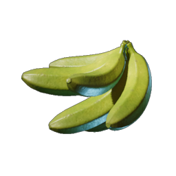 Kochbanane
