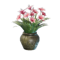 Rosa Lilien Blumentopf