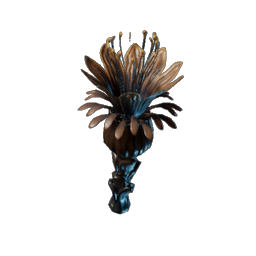 Schattenblüte