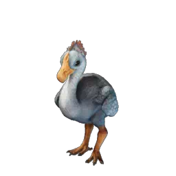 Enshrouded - Wiki - Baby Rundschnabel-Segler