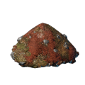 Albapracht-Gipfel-Erde