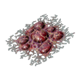 Ätzendes Blut