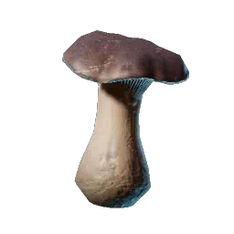 Enshrouded - Wiki - Steinpilz Setzling