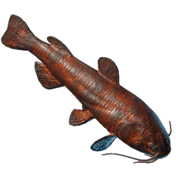 Gegrillte Bartflosse