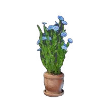 Flachs Pflanze