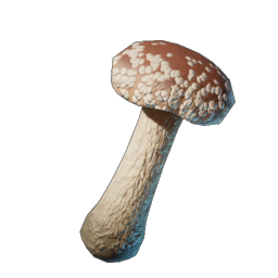 Shiitake