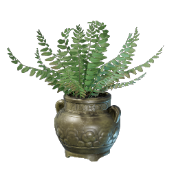 Farn Topf 5