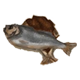 Getrockneter Fisch