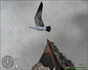 Call of Duty: United Offensive - Mod - Bird Bomb